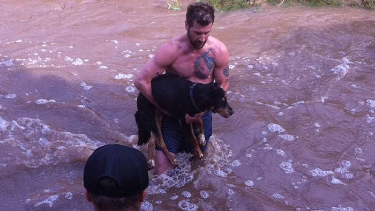 Illustration : "Utah : un homme n'hésite pas à plonger dans les eaux glacées pour sauver une chienne"