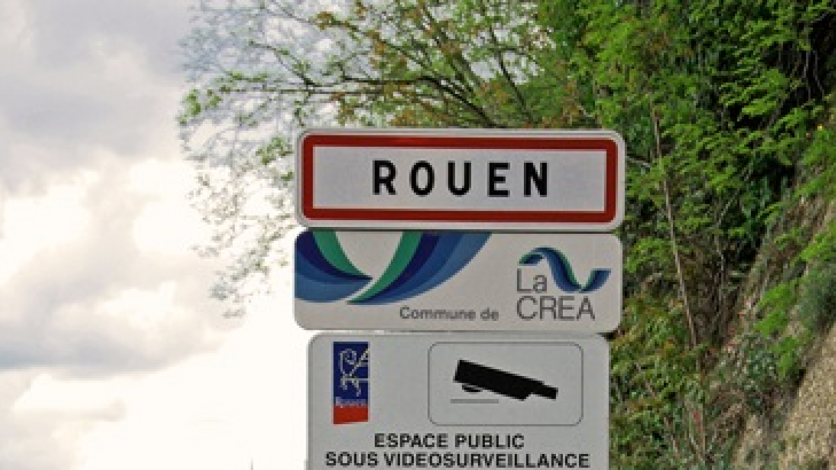 Illustration : "Rouen : Il roue son chien de coups parce qu’il n’était pas propre"