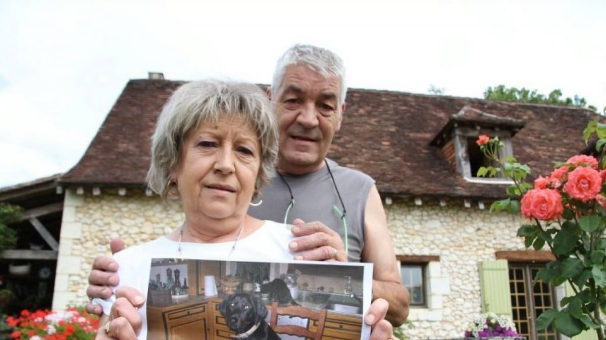 Illustration : "L’Homme qui a tué Girolle à coup de fusil est condamné à 300 euros d’amende avec sursis"