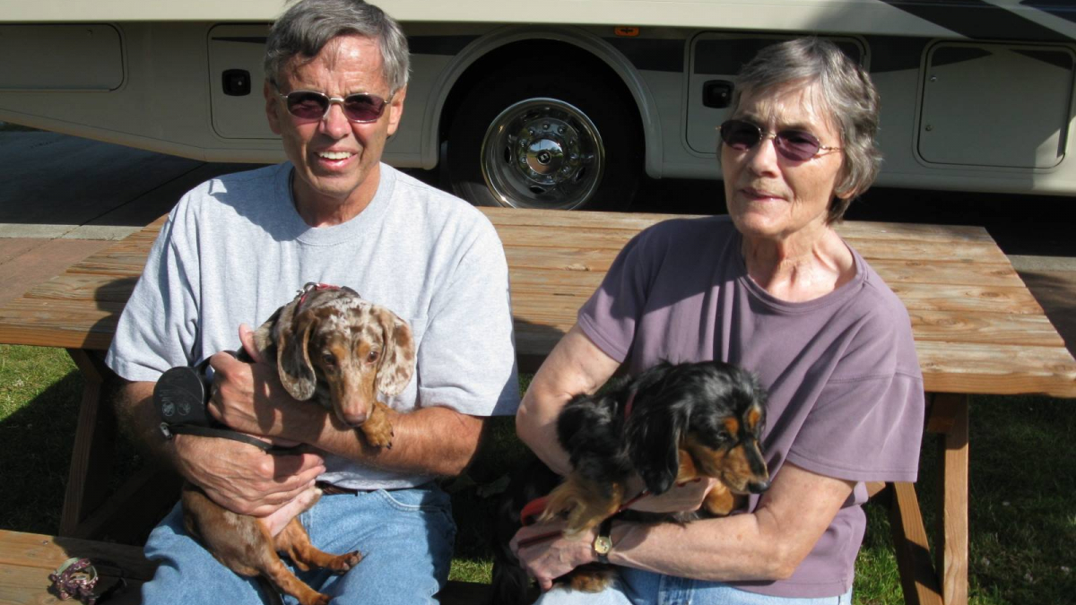 Illustration : "Herbie, chien aveugle, et Hilda son amie chienne guide ont enfin trouvé un foyer ensemble"