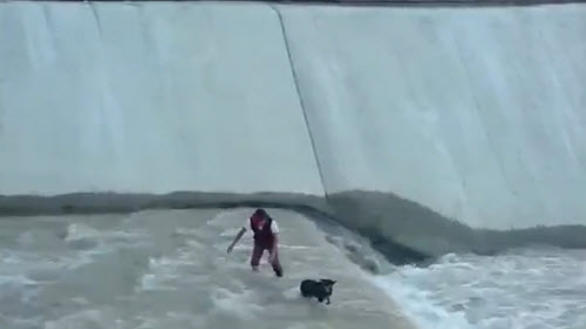 Illustration : "Un chien pris au piège dans un canal, sauvé grâce à une chaîne humaine !"