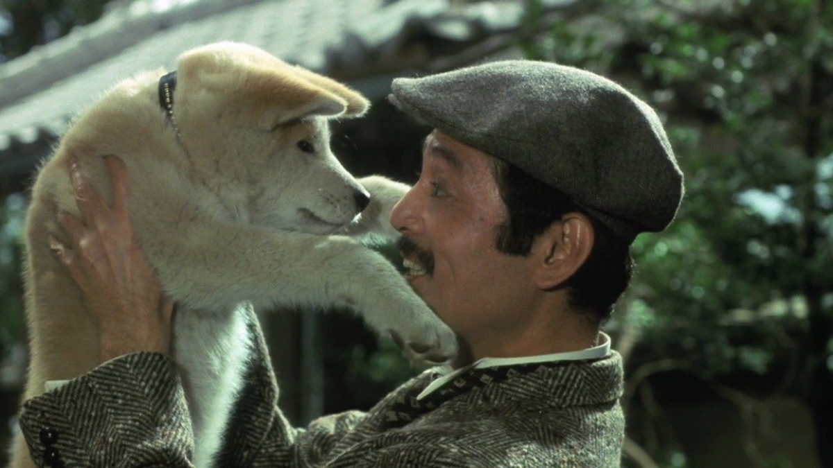 Illustration : "10 films de chiens à voir ou à revoir"