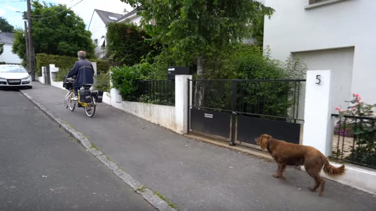 Illustration : "La Poste veut interdire à ce facteur de faire sa tournée avec sa chienne ! "