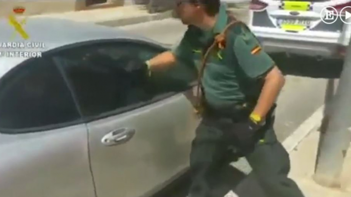 Illustration : "Espagne : Un Pitbull déshydraté et enfermé dans une voiture, sauvé par la police !"