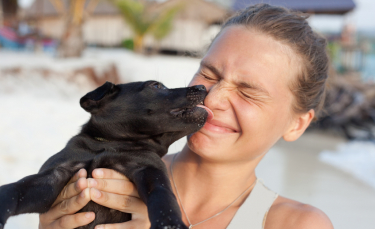 Illustration : "Gagner l'amour et la confiance de son chien en 3 étapes"