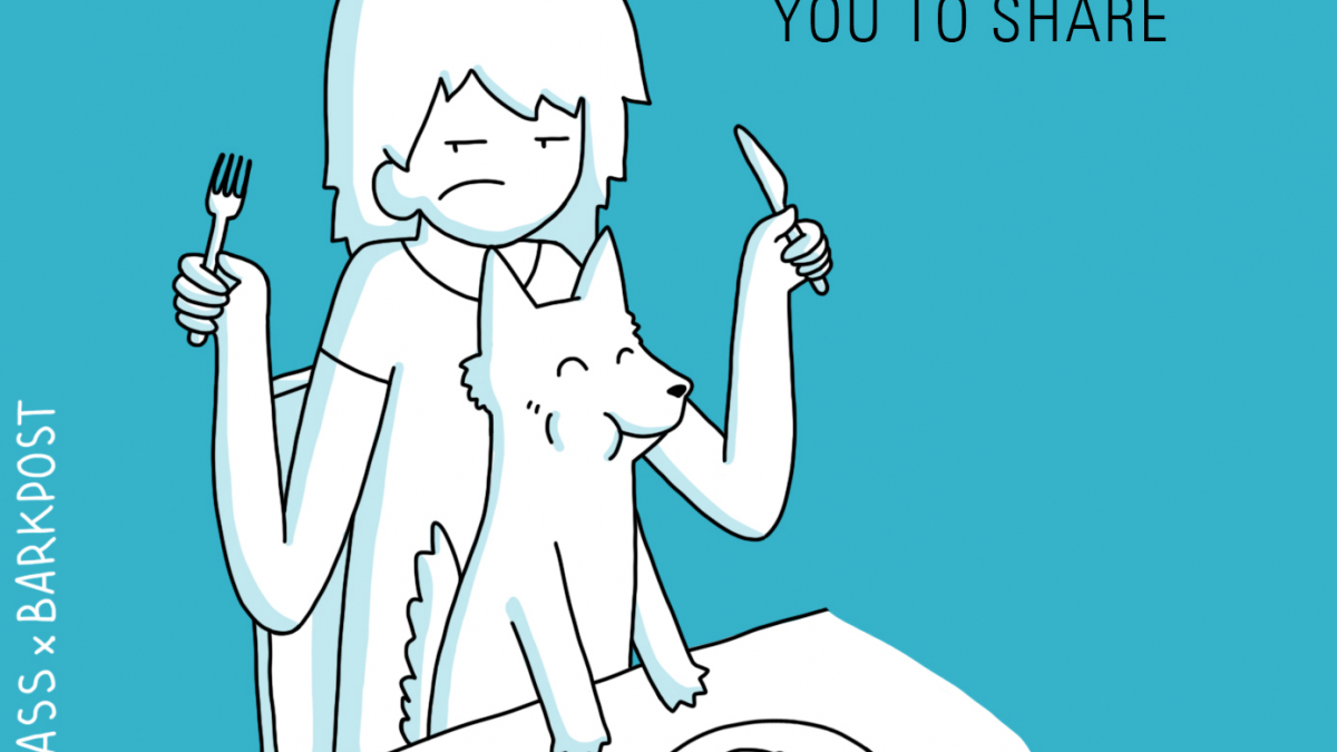 Illustration : "10 précieuses leçons de vie que nous donnent nos chiens"