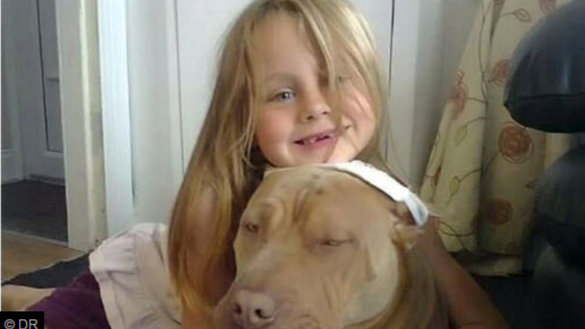 Illustration : "Angleterre : Une maman se bat pour récupérer la chienne de sa fille autiste"