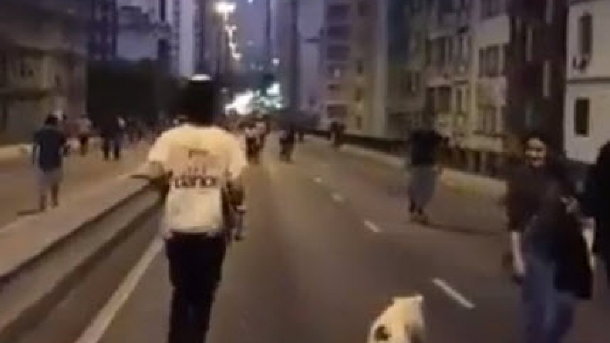 Illustration : "Un chien skateur dans les rues de Sao Paulo (Vidéo) "