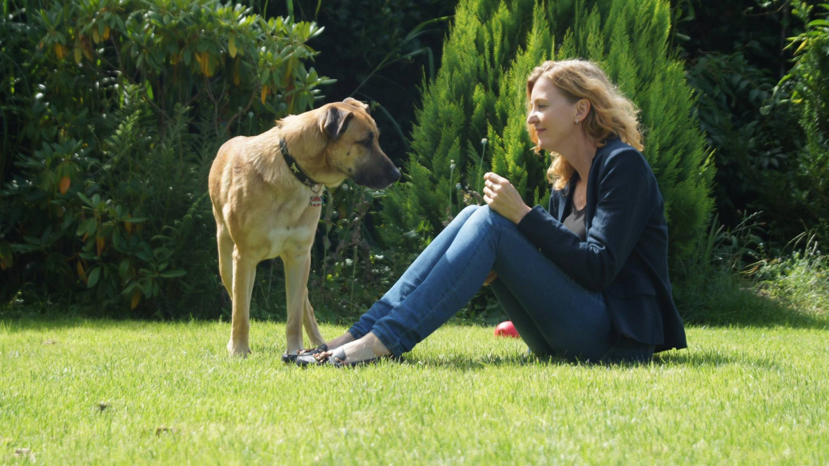 Illustration : "Une hôtesse de l’air adopte un chien errant qui la suivait partout !"