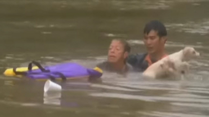 Illustration : Louisiane : Une femme et son chien sauvés miraculeusement d’une noyade certaine !