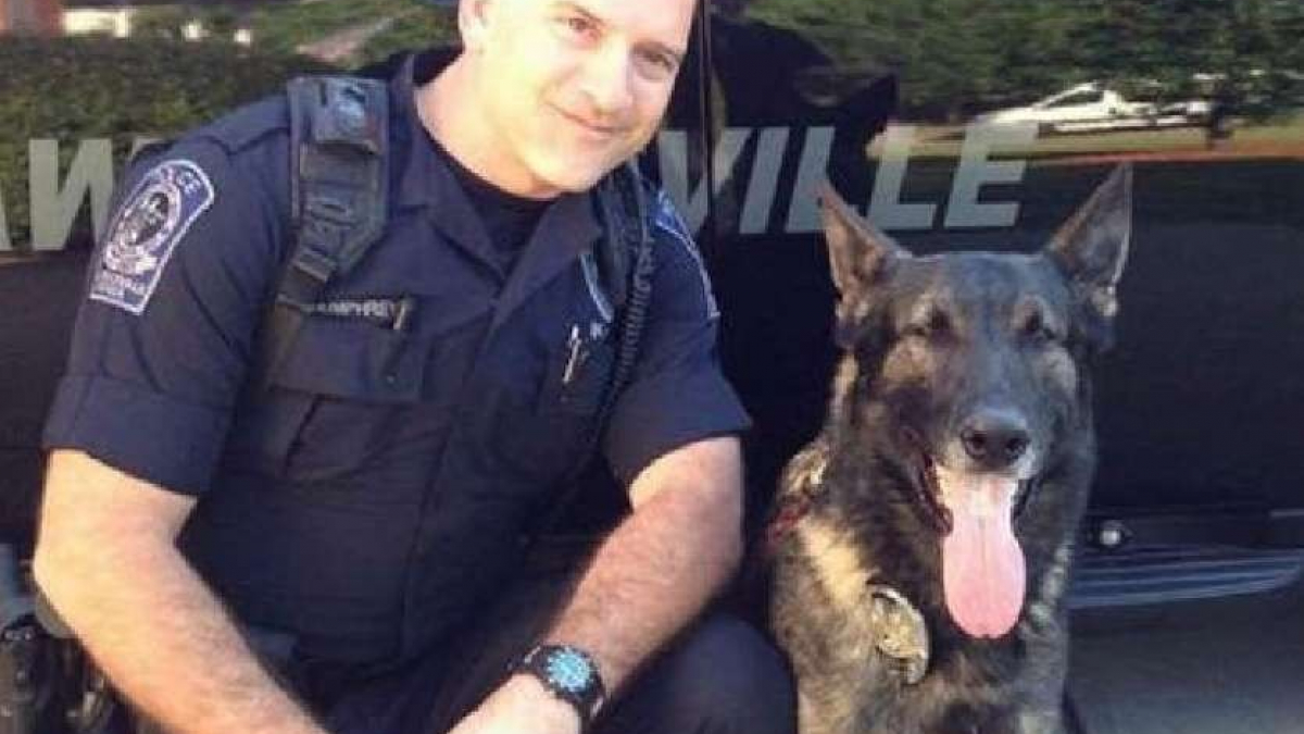 Illustration : "Un policier honore la mémoire de son chien en accueillant un chien de refuge"