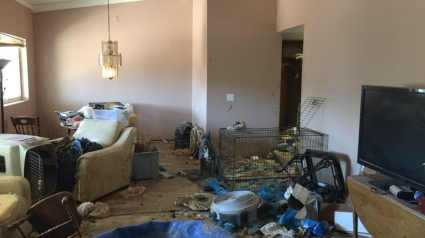 Illustration : Etats-Unis : près de 40 Pitbulls secourus dans la « maison des horreurs »