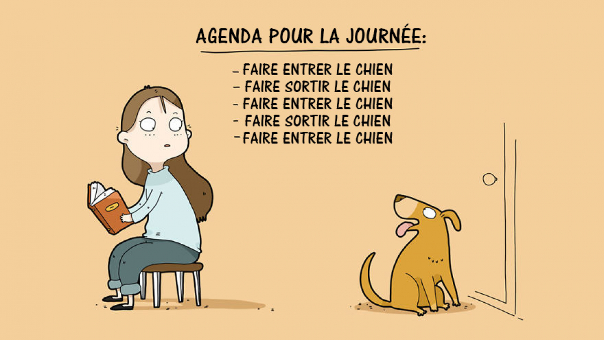 Illustration : "10 images amusantes qui illustrent les habitudes de vos chiens "