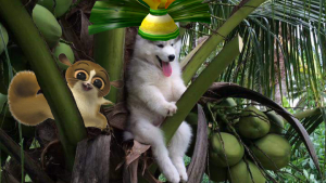 Illustration : "La photo d’un chien sur un cocotier détournée par les internautes fait le buzz !"
