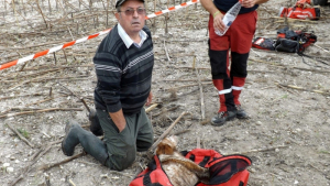 Illustration : "Brossac (16) : Un chien de chasse grièvement blessé après être tombé dans un puits "