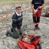 Illustration : Brossac (16) : Un chien de chasse grièvement blessé après être tombé dans un puits 