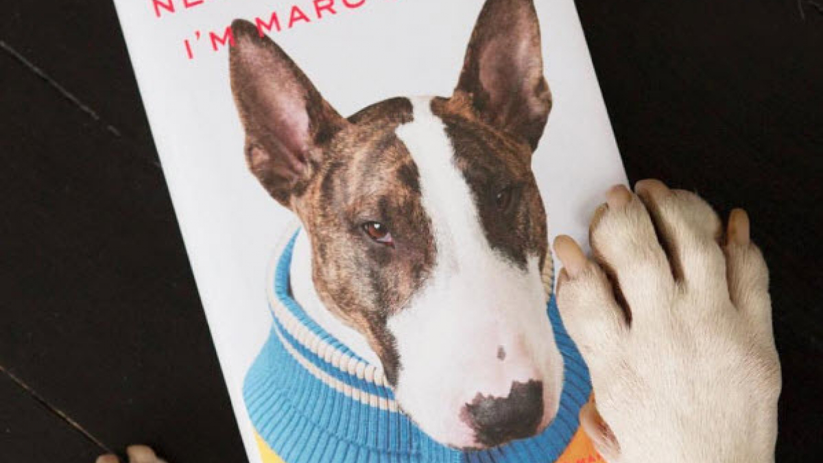 Illustration : "Le créateur de mode Marc Jacobs publie un livre sur son Bull Terrier"