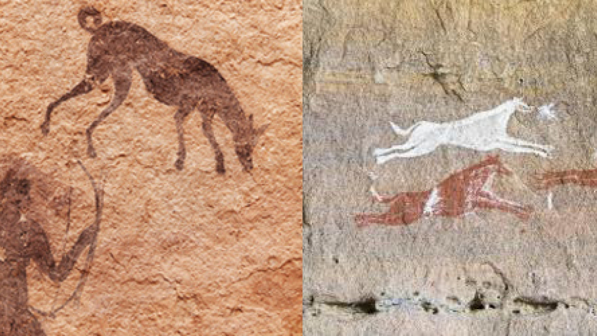 Illustration : "Les premiers chiens de chasse dateraient de 9000 ans"