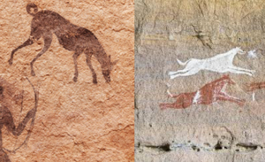 Illustration : "Les premiers chiens de chasse dateraient de 9000 ans"