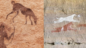 Illustration : "Les premiers chiens de chasse dateraient de 9000 ans"