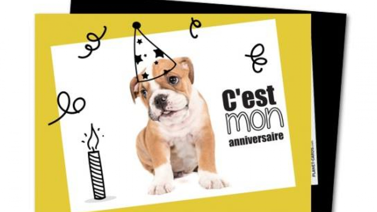 Illustration : "Des faire-part pour chien "