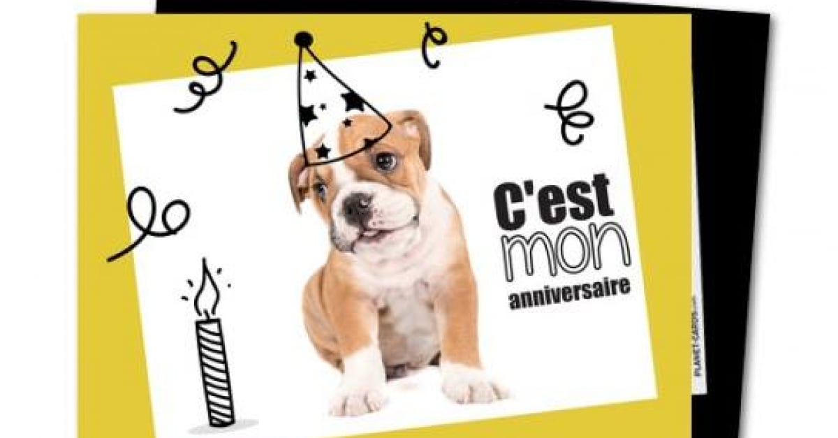 Des Faire Part Pour Chien Des Faire Part Pour Chien