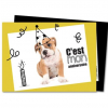 Illustration : Des faire-part pour chien 