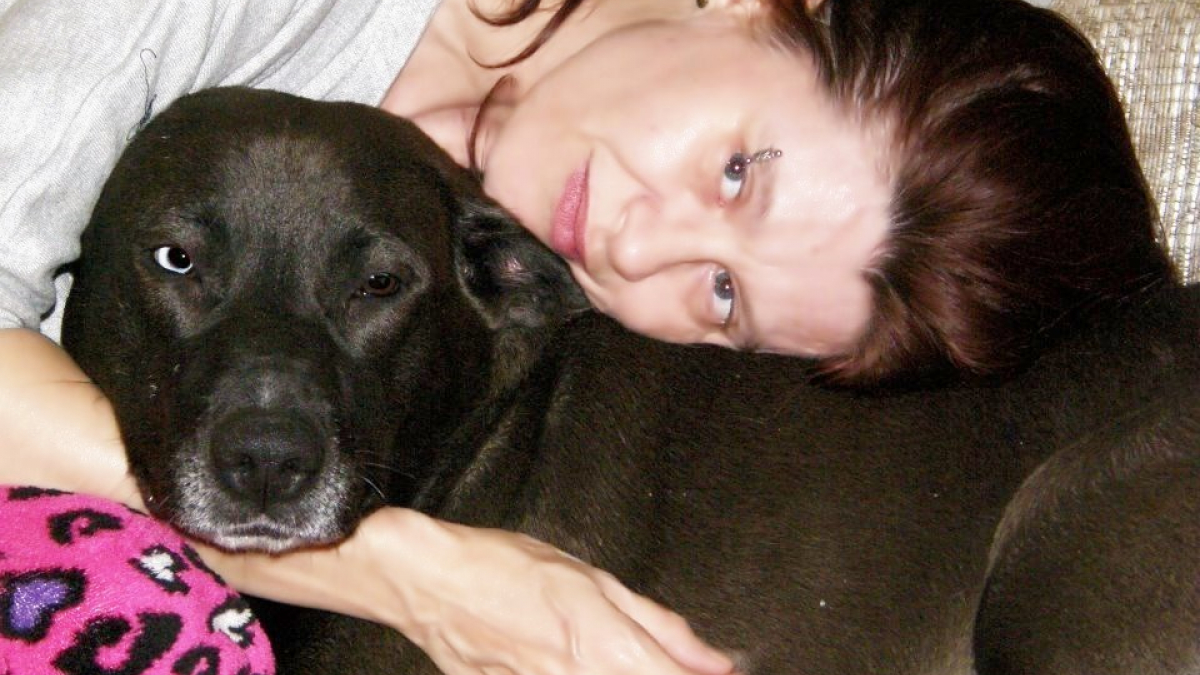 Illustration : "Ce Labrador croisé et sa maîtresse vivent un cauchemar depuis que les autorités l’aient pris pour un Pitbull"