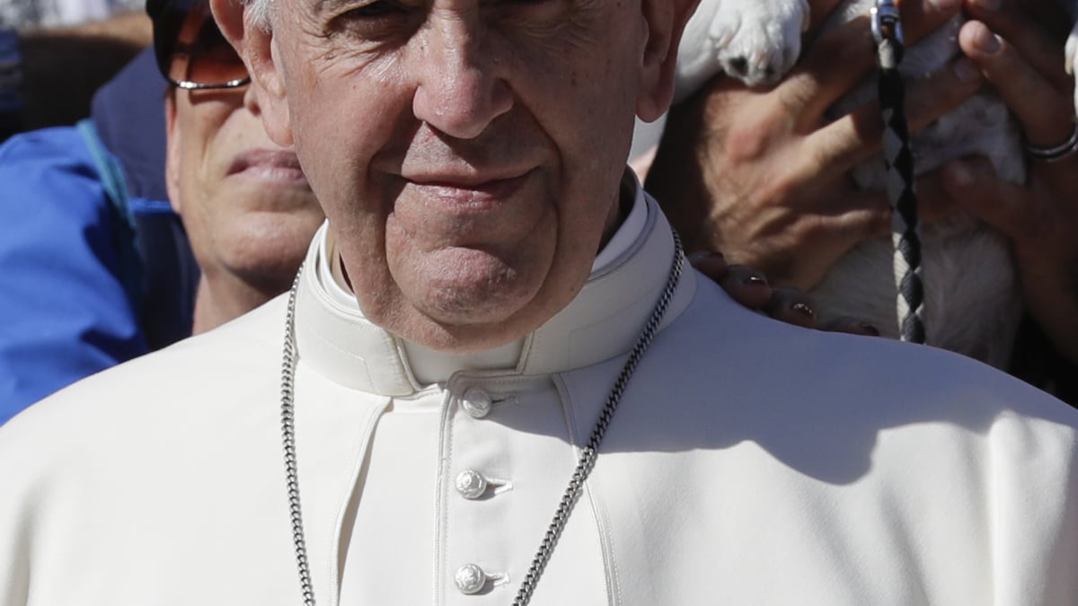 Illustration : "Le pape François rencontre un club canin et se fait photobomber par un Jack Russel Terrier"