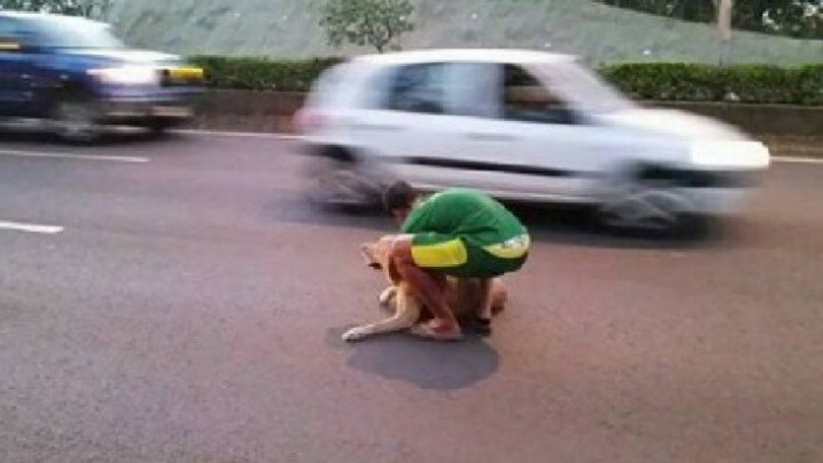 Illustration : "Un jeune polynésien risque sa vie pour secourir un chien au milieu du trafic"