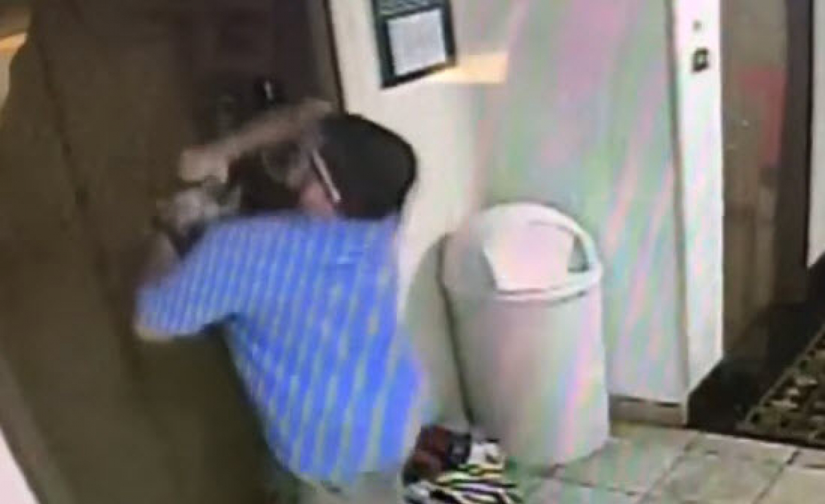 Illustration : "Etats-Unis : Le gérant d’un hôtel a réagi rapidement pour sauver la vie d’un chien"