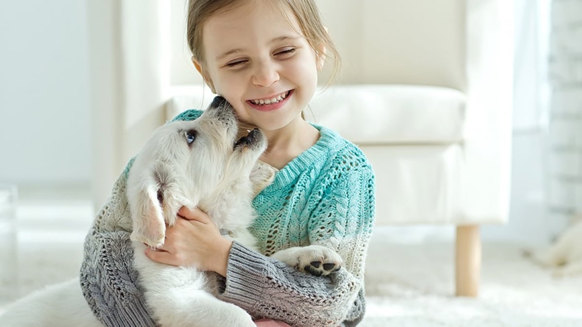 Illustration : "Les chiens et les enfants : les précautions à prendre"