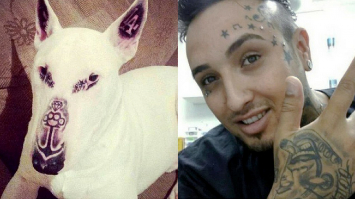 Illustration : "Un Brésilien tatoue son chien, provoquant une vague d’indignation sur les réseaux sociaux"