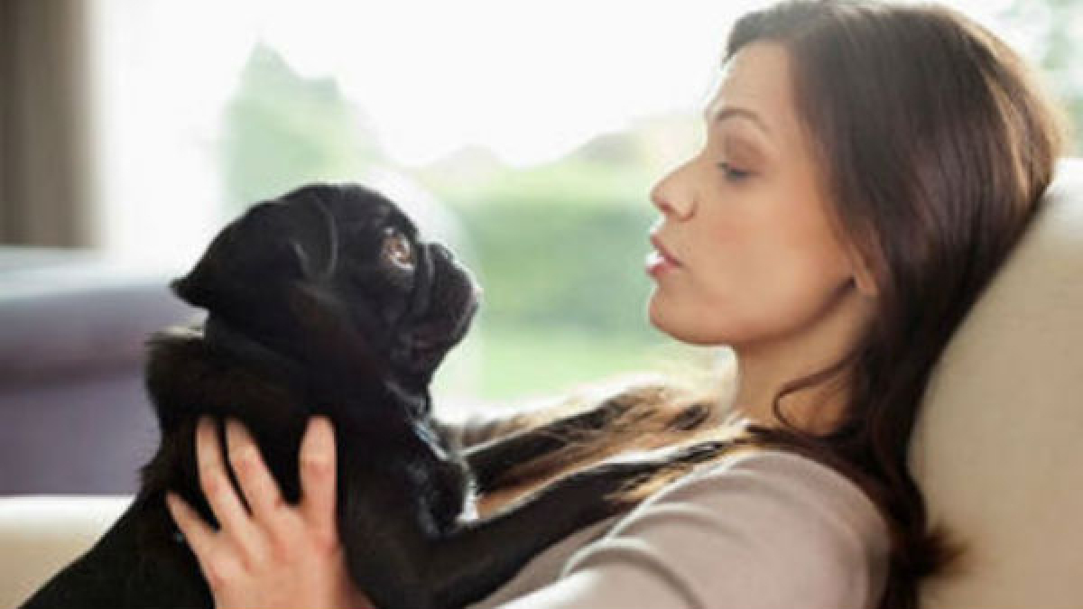 Illustration : "21 signes qui prouvent que vos parents aiment le chien plus qu’ils ne vous aiment"
