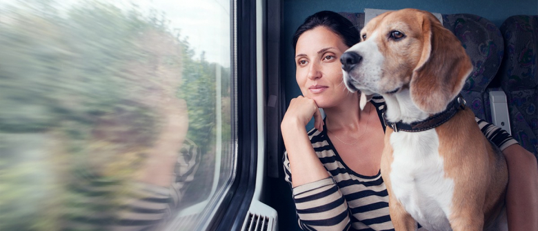 Illustration : "Voyager avec son chien en train"