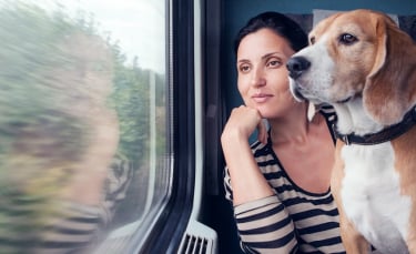 Illustration : "Voyager avec son chien en train"