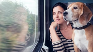 Illustration : "Voyager avec son chien en train"