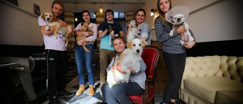 Illustration : "Lille va avoir son premier Dog Café : le WAF !"