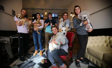 Illustration : "Lille va avoir son premier Dog Café : le WAF !"