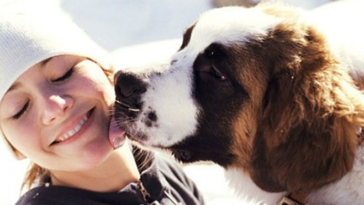 Illustration : "20 situations qui prouvent que votre amour pour votre chien a pris beaucoup de place !"