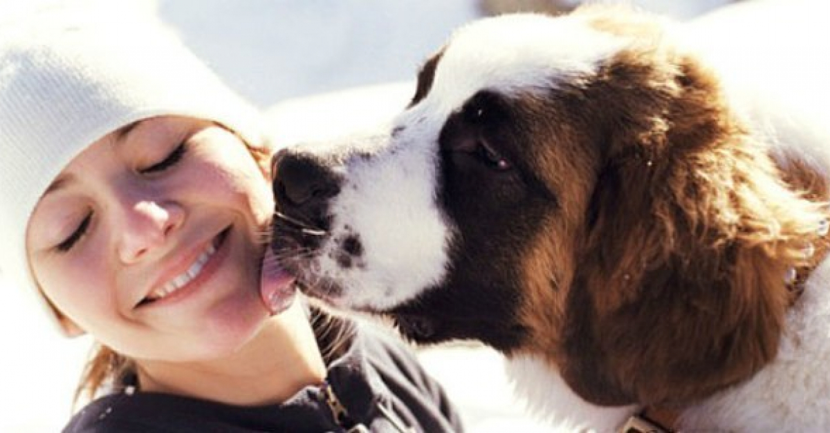 20 situations qui prouvent que votre amour pour votre chien a pris