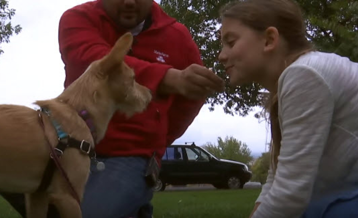 Illustration : "Une fillette sauve une petite chienne en la rapatriant de Corée du Sud, où elle devait être abattue"