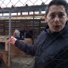 Illustration : Comme Rémi Gaillard, une jeune femme s’enferme dans une cage pour encourager l'adoption des animaux !