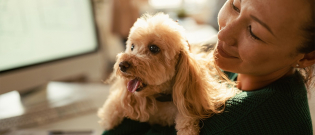 Illustration : "Les façons de montrer de l'amour à son chien"