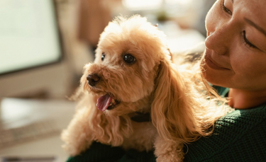 Illustration : "Les façons de montrer de l'amour à son chien"