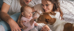Illustration : "Préparer son chien à l'arrivée d'un bébé"