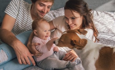 Illustration : "Préparer son chien à l'arrivée d'un bébé"