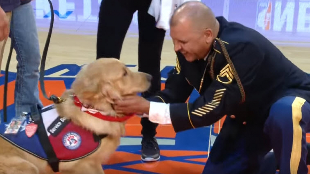 Illustration : "New-York : Un ancien militaire rencontre par surprise son chien d'assistance à un match de basket de NBA !"