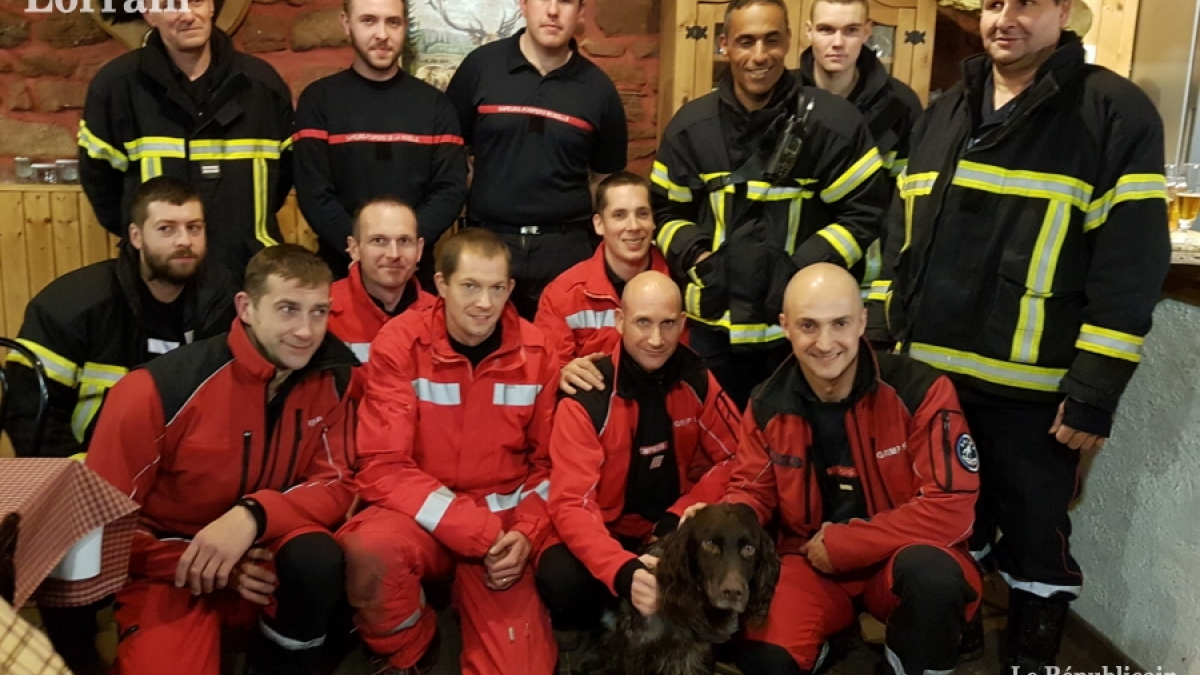 Illustration : "Moselle : Les pompiers du GRIMP sauvent un chien de chasse"