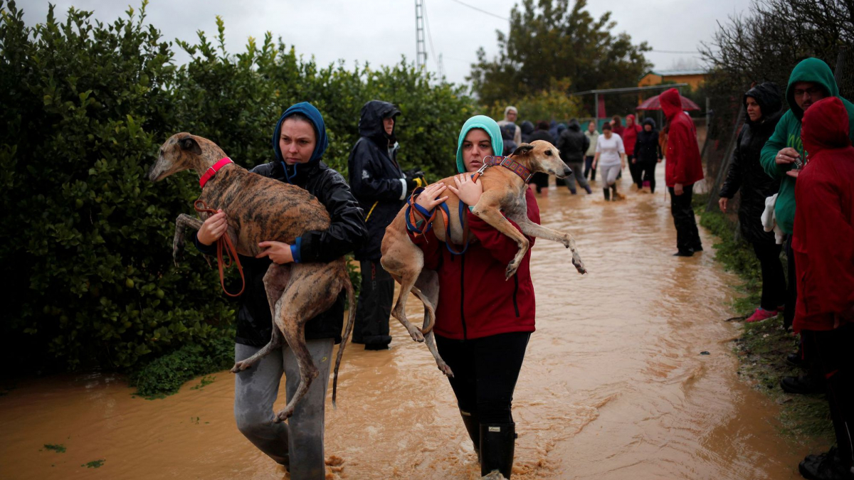 Illustration : "Pluies diluviennes en Espagne : un homme sauve son chien en le portant jusqu’à un hélicoptère"